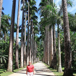 Rio de Janeiro, Ogród Botaniczny