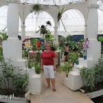 Rio de Janeiro, Ogród Botaniczny, orchidearium