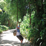 Rio de Janeiro, Ogród Botaniczny