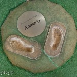 Rio de Janeiro, Muzeum Futbolu na Maracanie