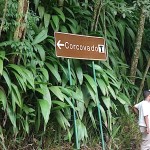 Rio de Janeiro, w drodze na Corcovado