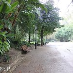 Lizbona, park Jardim da Estrela w deszczu