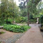 Lizbona, park Jardim da Estrela w deszczu