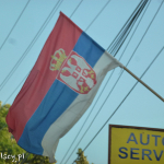 Serbskie flagi w Gračanicy