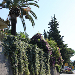 Herceg Novi, ulice miasta
