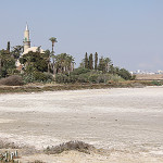 Słone jezioro Larnaca, w tle Hala Sultan Tekke
