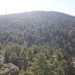 Góry Troodos, szczyt Olimpu, najwyższego szczytu Cypru