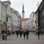 Tallin, stare miasto