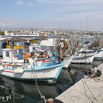 Pafos, łodzie rybackie w porcie