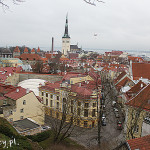 Tallin, panorama starego miasta widziana ze wzgórza Toompea