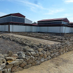 Pafos, Park Archeologiczny, "Dom Dionizosa"