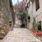 Motovun