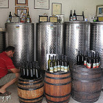 Motovun, domowa winiarnia