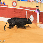 Marbella, corrida