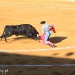 Marbella, corrida