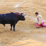 Marbella, corrida, matador w akcji