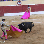 Marbella, corrida, torreadorzy w akcji